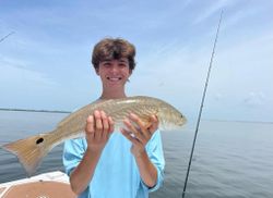 Red Drum Hunt Season Fort Myers Florida 2022